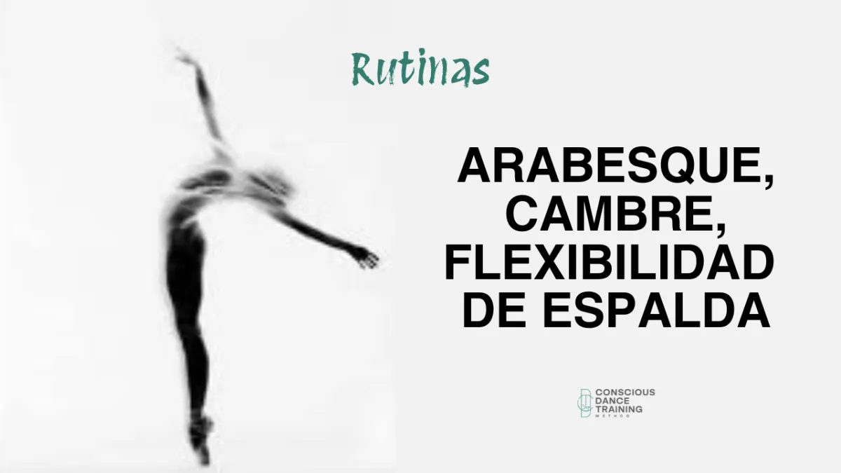 Estabilidad y Equilibrio Entrenamiento