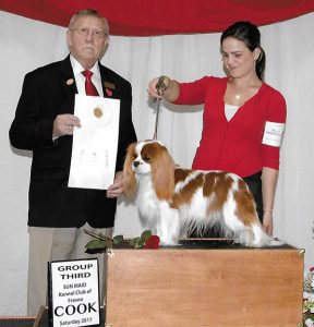 GCHB CH Wyndancer Silver Lining Cooper