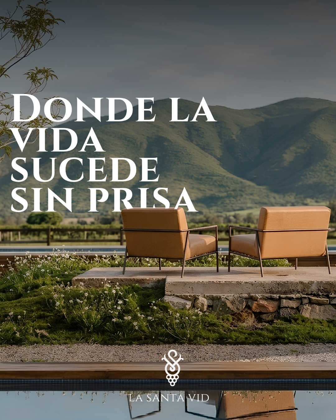Mejor Vino San Miguel de Allende