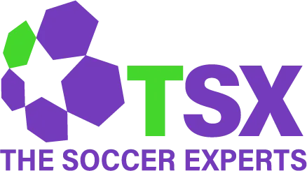 TSX Logo