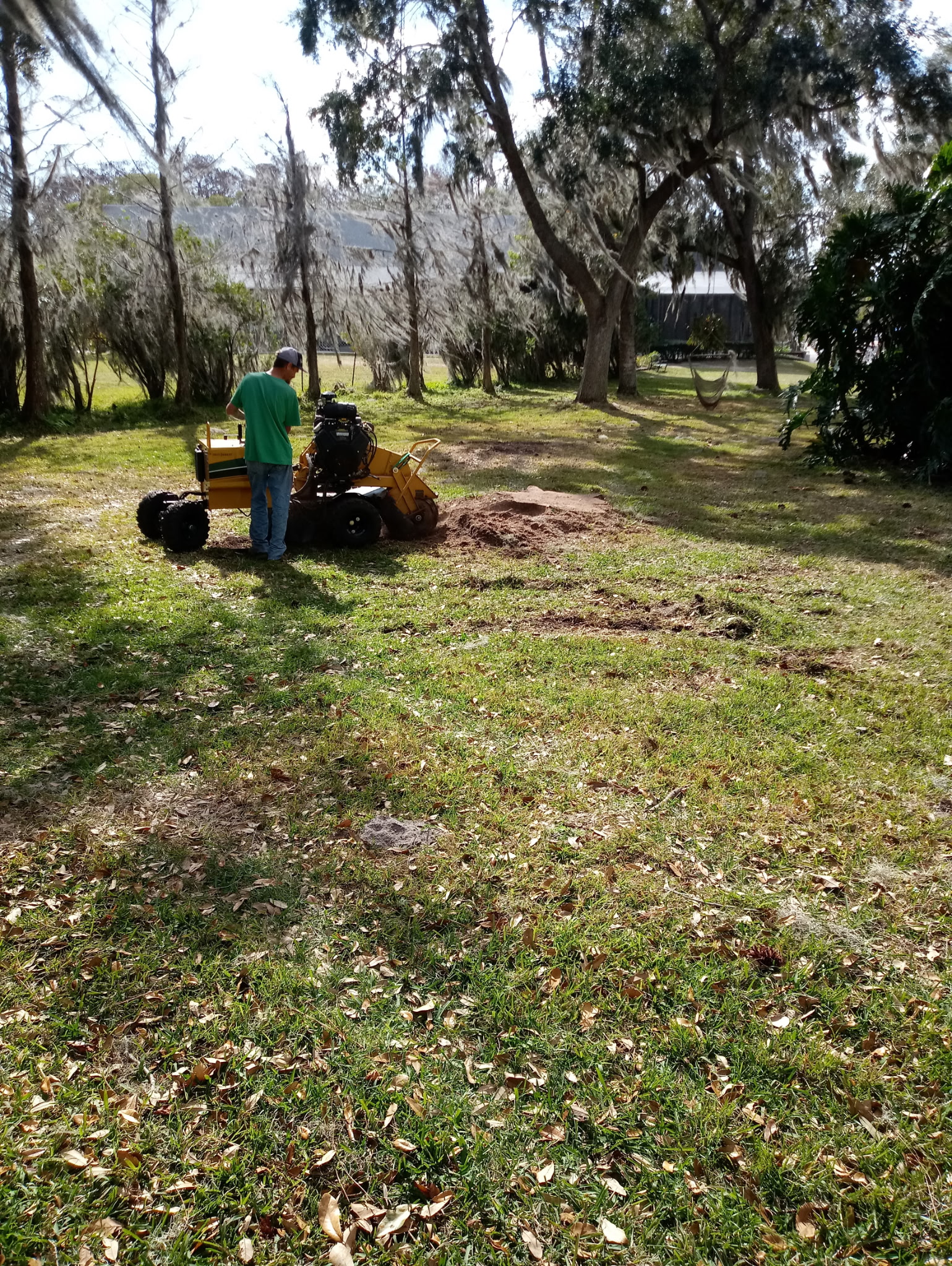 Commercial Landscape Maintenance