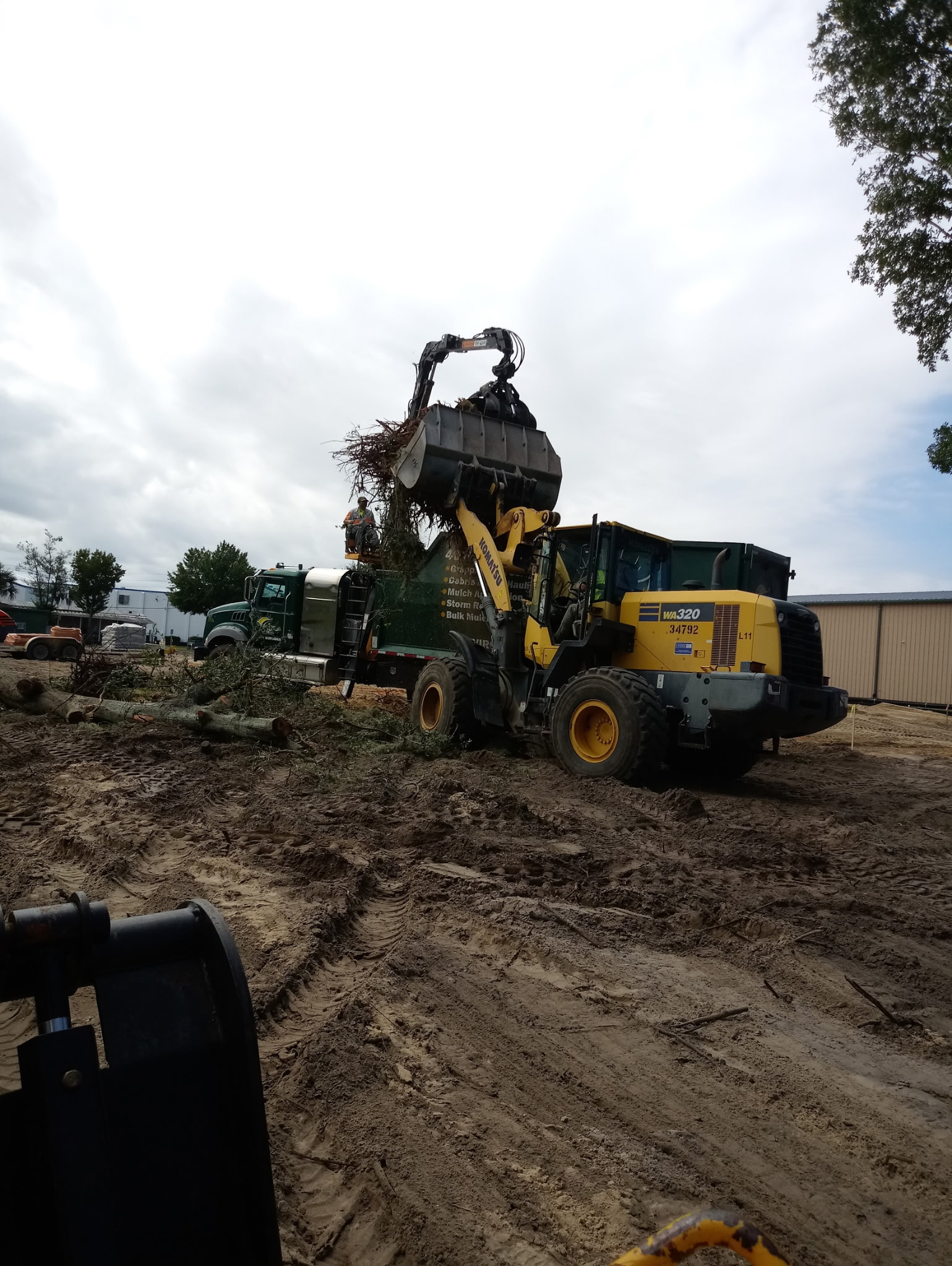 Commercial Landscape Maintenance