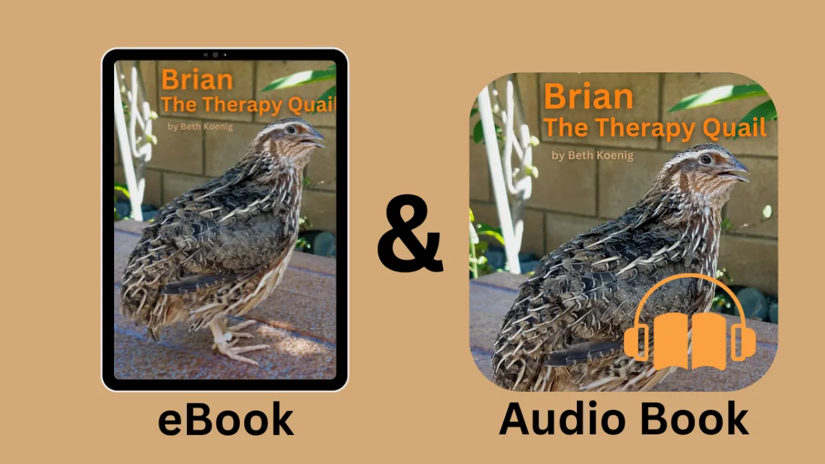 Mockups of the ebook and audiobook