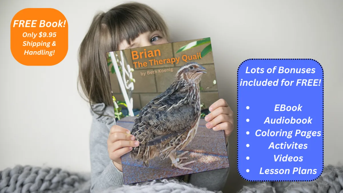 Pre-order "Brian the Therapy Quail" Today!