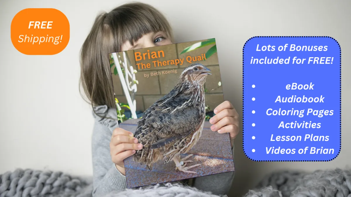 Pre-order "Brian the Therapy Quail" Today!