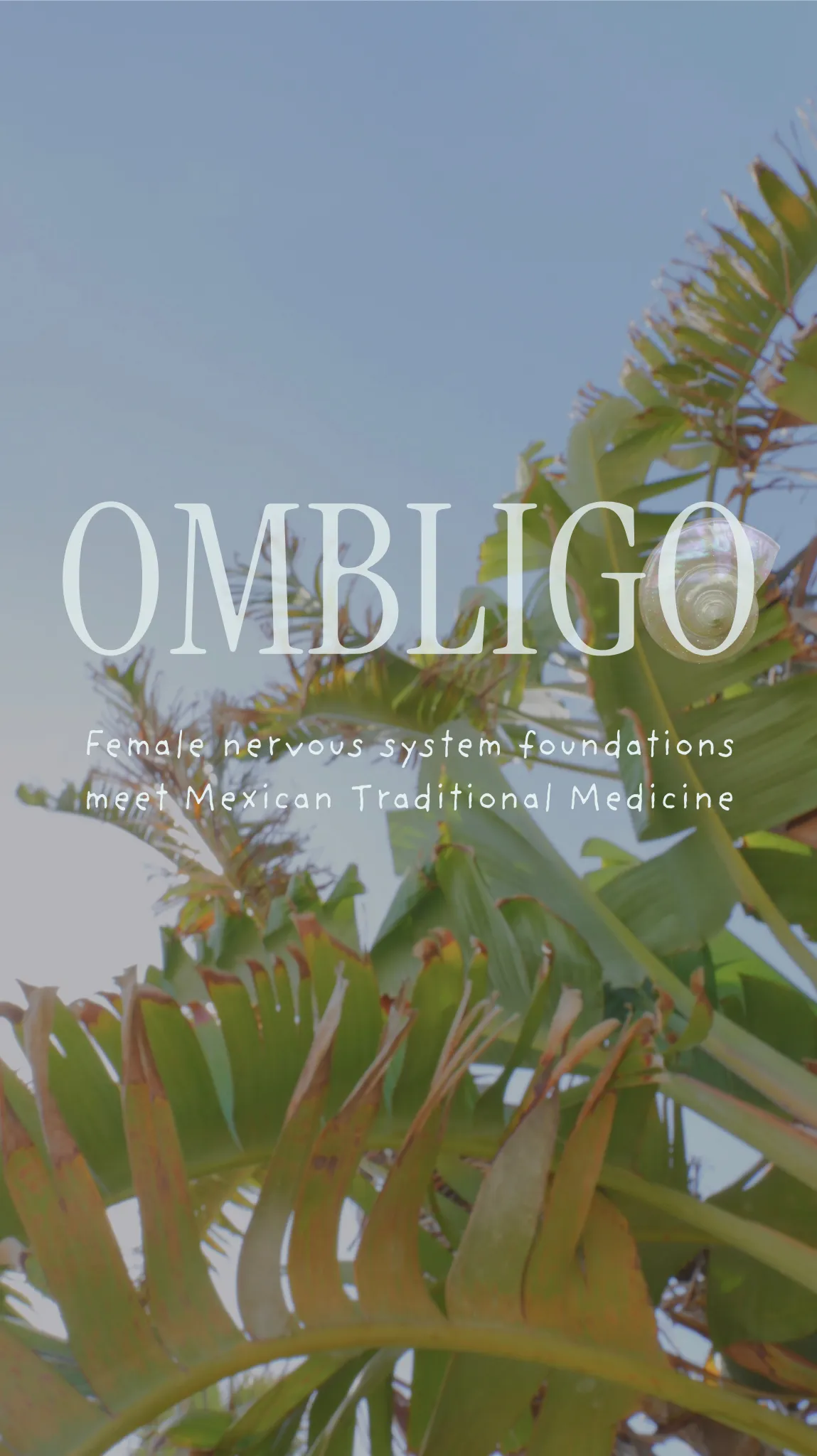 OMBLIGO: female nervous system foundations meets Mexican Traditional Medicine, banner image on website