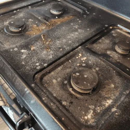 Deep Cleaning Santa Monica