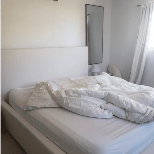 Residential Cleaning Santa Monica