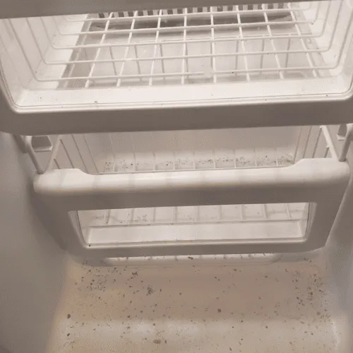 Residential Cleaning Santa Monica