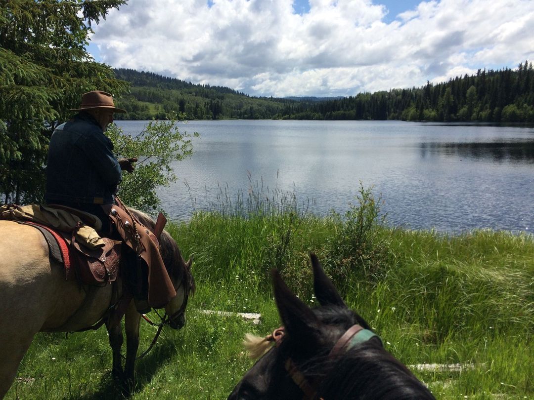 Experience the Ultimate Wildlife & Bird Watching Ranch Vacation at Montana Hill Guest Ranch
