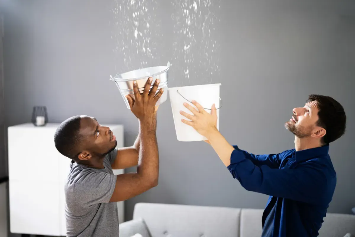 Adding cleaning powder to a mop bucket.