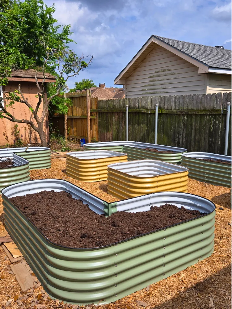 A suburban backyard with a geometric arrangement of raised beds, each overflowing with vibrant lettuces and herbs. A family is seen harvesting together under bright midday sunlight, capturing a sense of togetherness and productivity in a well-designed garden.