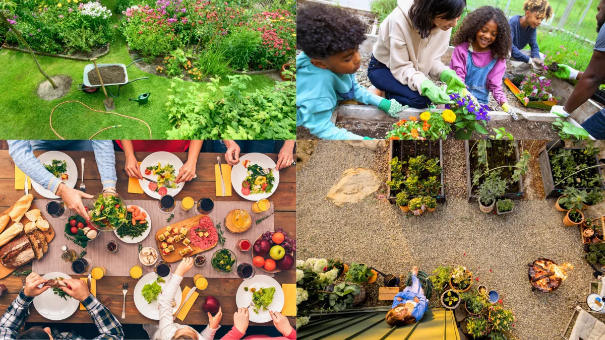 A lush, modern backyard vegetable garden with raised beds, trellises, and a variety of thriving vegetables, sunlight streaming through, inviting and vibrant.