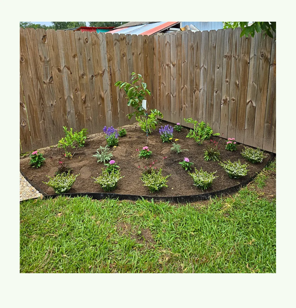 A lush, modern backyard vegetable garden with raised beds, trellises, and a variety of thriving vegetables, sunlight streaming through, inviting and vibrant.