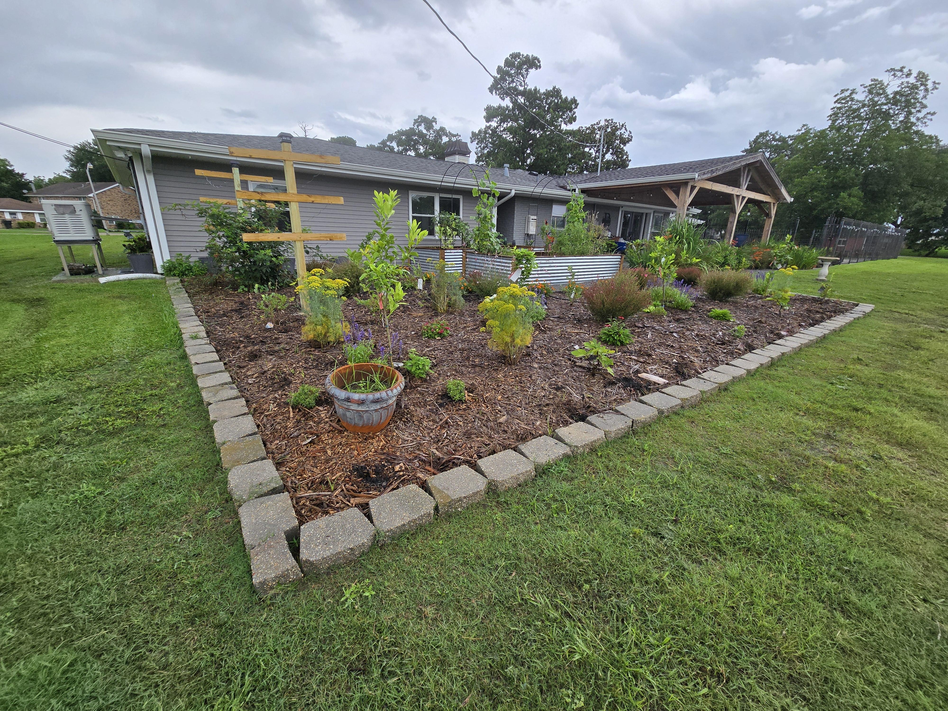 Before and after: a dry backyard transformed into a vibrant vegetable garden with raised beds, lush plants, and a happy family tending to the crops.