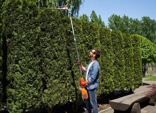 Hedge Trimming Guide: How to Shape and Maintain Hedges Like a Pro