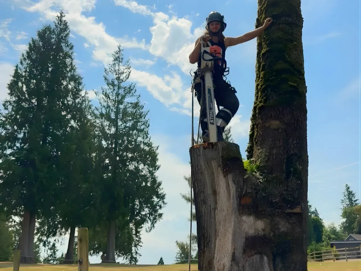 Tree Ninjas crew rigging and removing a large Douglas fir on a residential property in Duvall WA