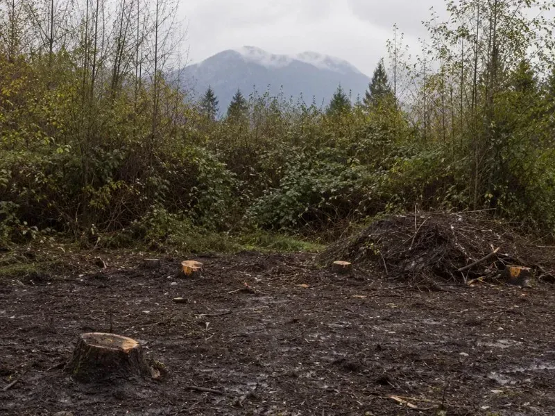 How Much Does Land Clearing Cost Per Acre in Monroe, WA?