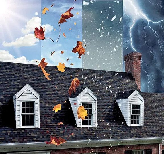Impact resistant shingles , class 4 