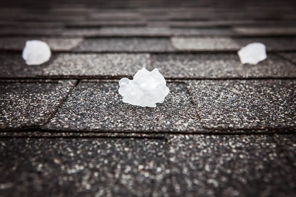 roof hail damage , shingle hail damage 