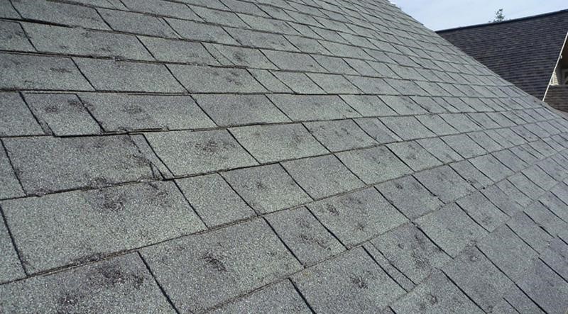hail damage on shingles 