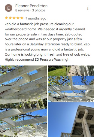 Tree Pruning Service Perth