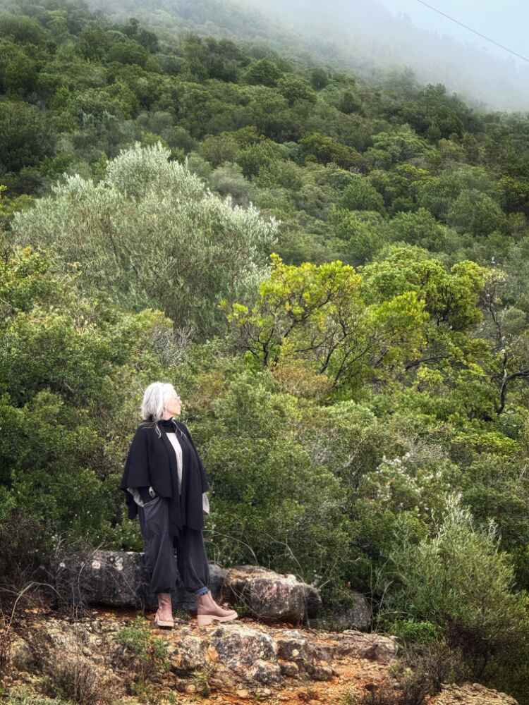 InCorr Coaching SETI trauma-informed course