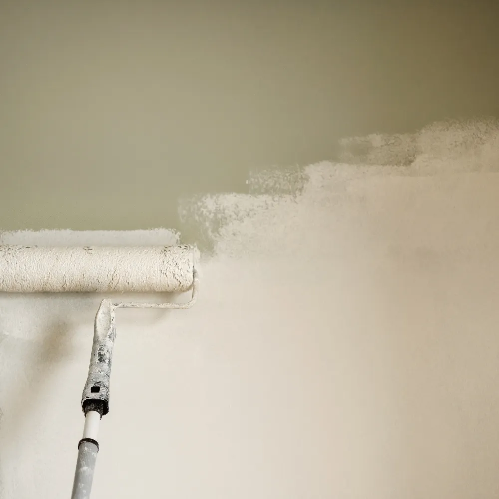 WINDOW CLEANING SOUTH BOSTON