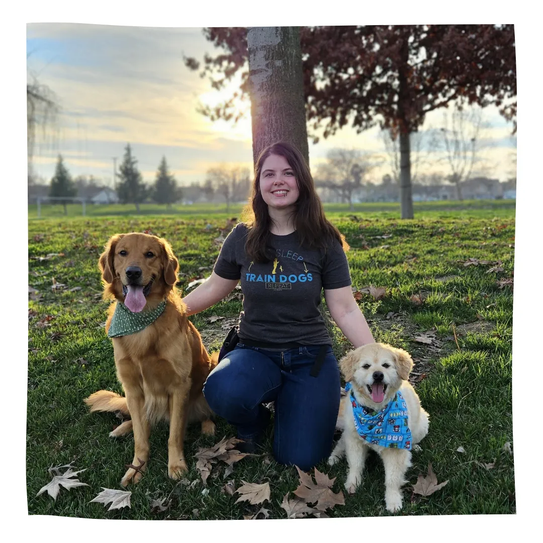 certified-dog-trainer-stockton.jpg