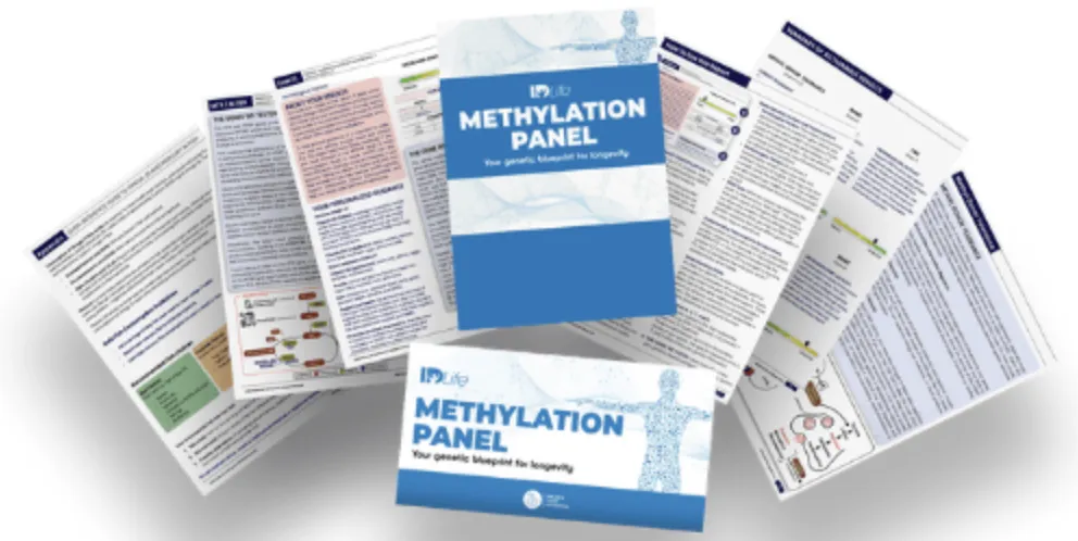 Tina Honsey Methylation Panel