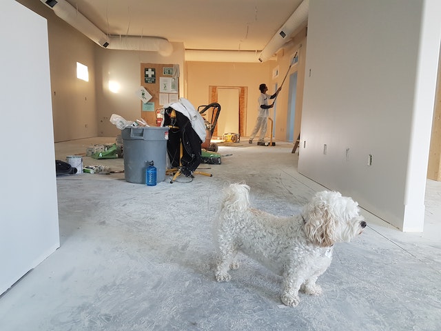 a dog standing on the floor in a room with a person cleaning in the background