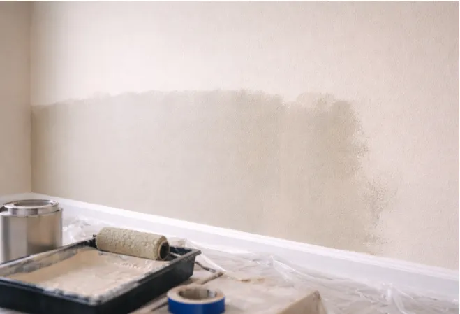 12 Common Interior Painting Mistakes and How to Avoid Them
