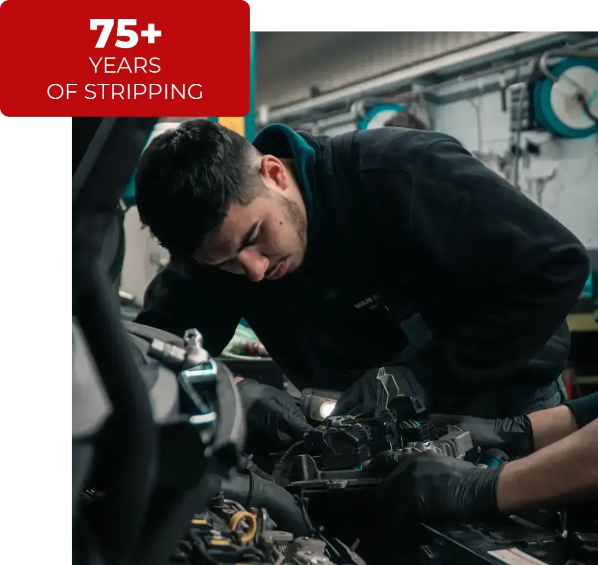 75+ Years of Stripping