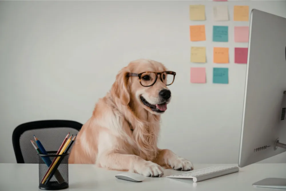 How Much Do BCBAs Make With an Online Business?