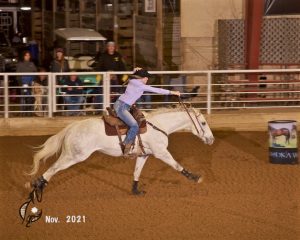 RRRFLINGMEADREAM Gray Horse Conformation View