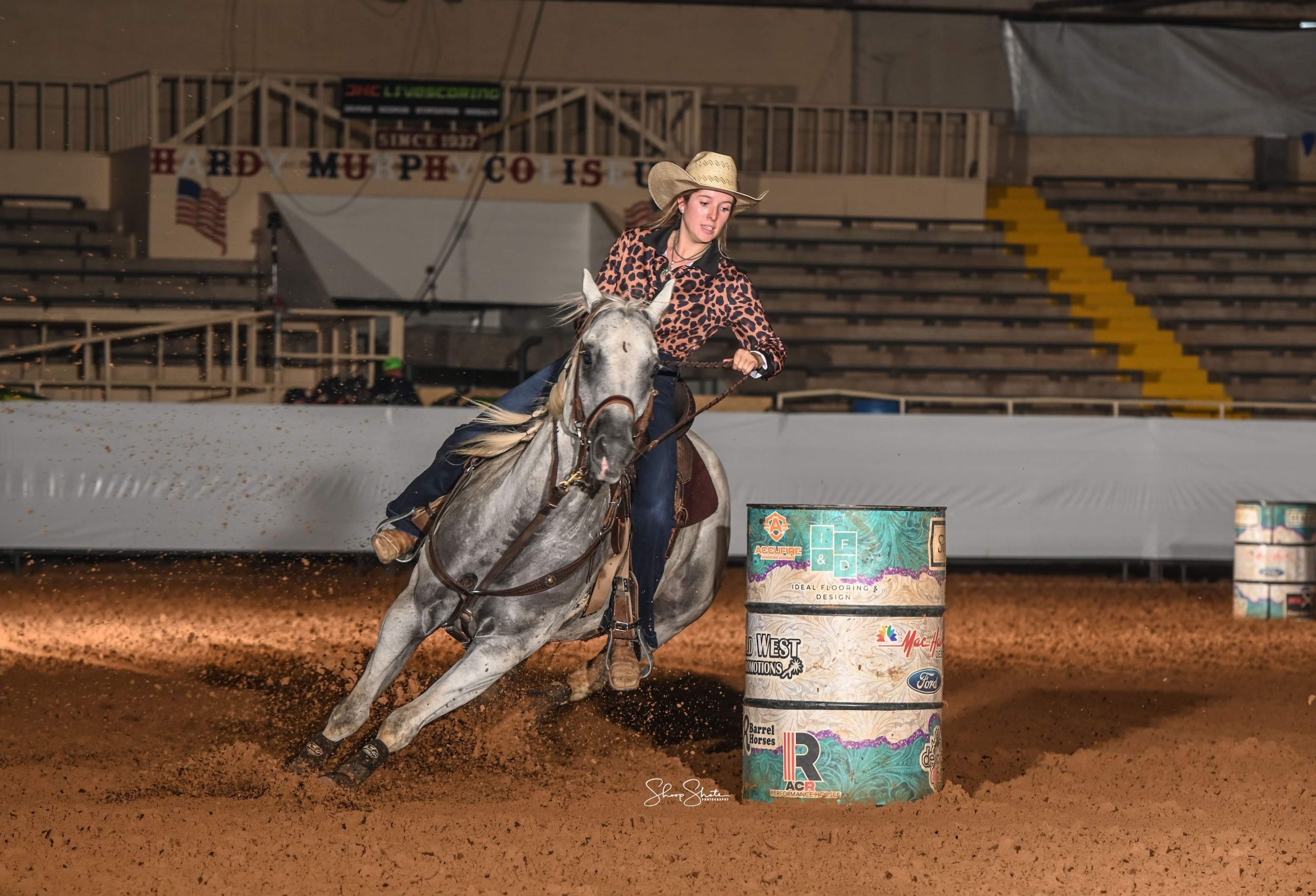 2015 Gray Gelding RRRFLINGMEADREAM A Streak of Fling Son