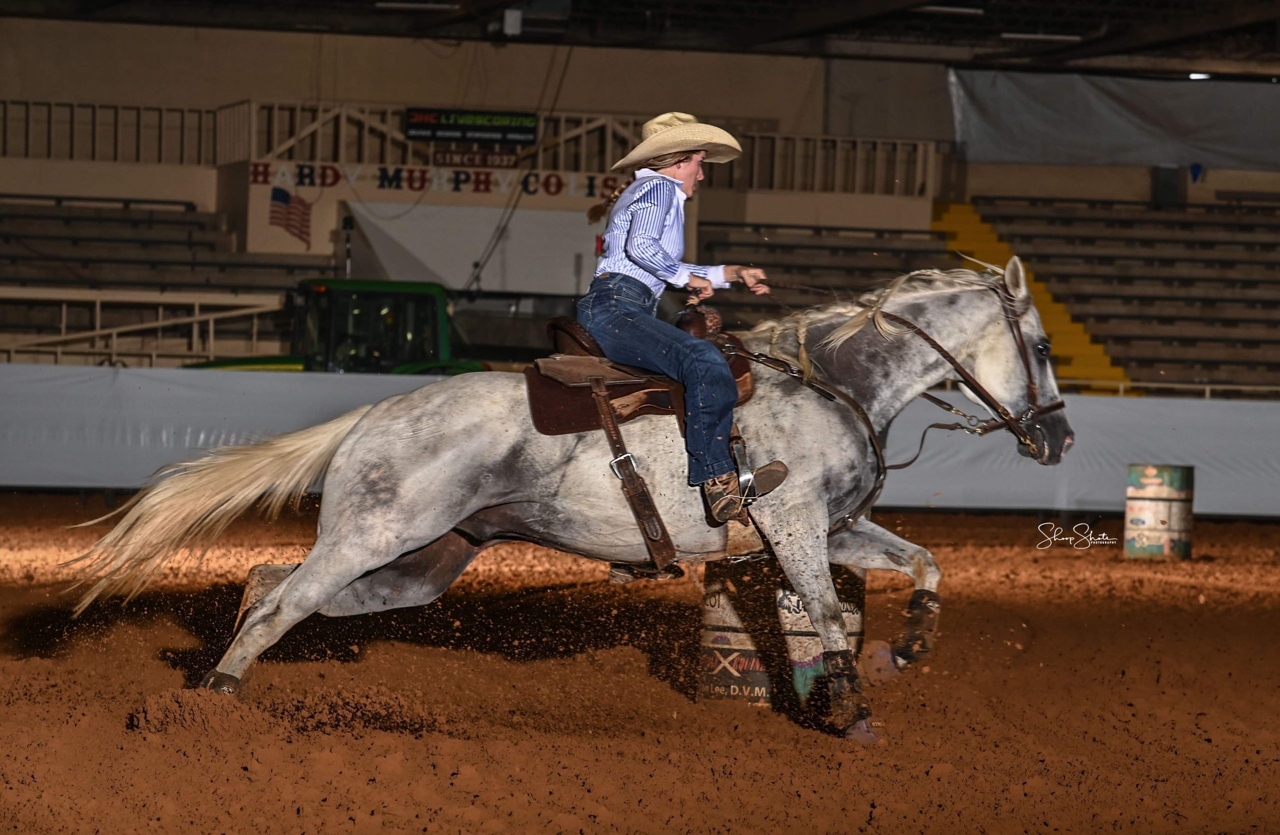 Barrel Racing Gelding for Sale Texas Pink Buckle Eligible