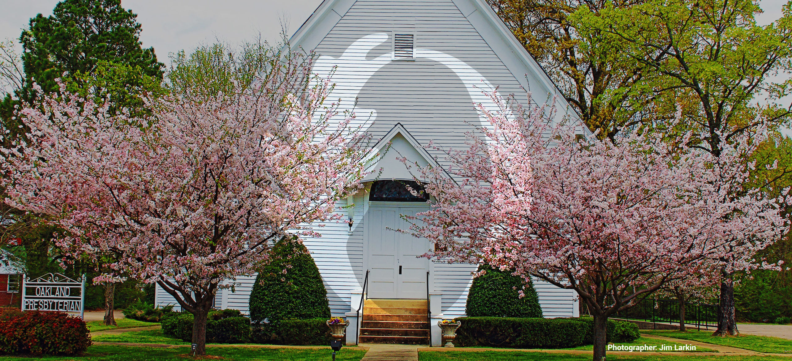 White church building in Oakland, Tennessee framed by blooming trees and mature landscaping in a quiet residential setting.