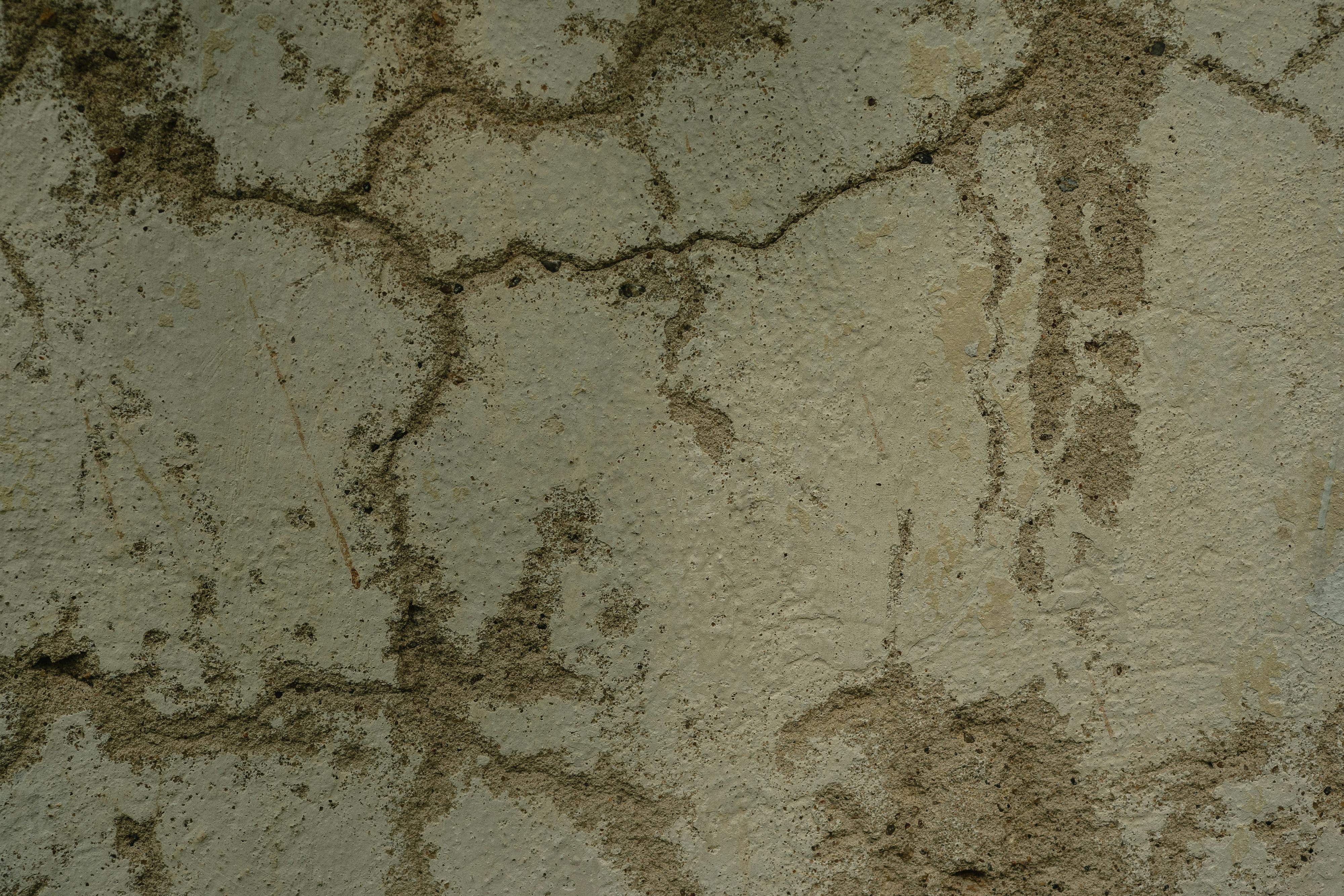 Close-up of cracked concrete or masonry wall showing surface deterioration and age-related damage.