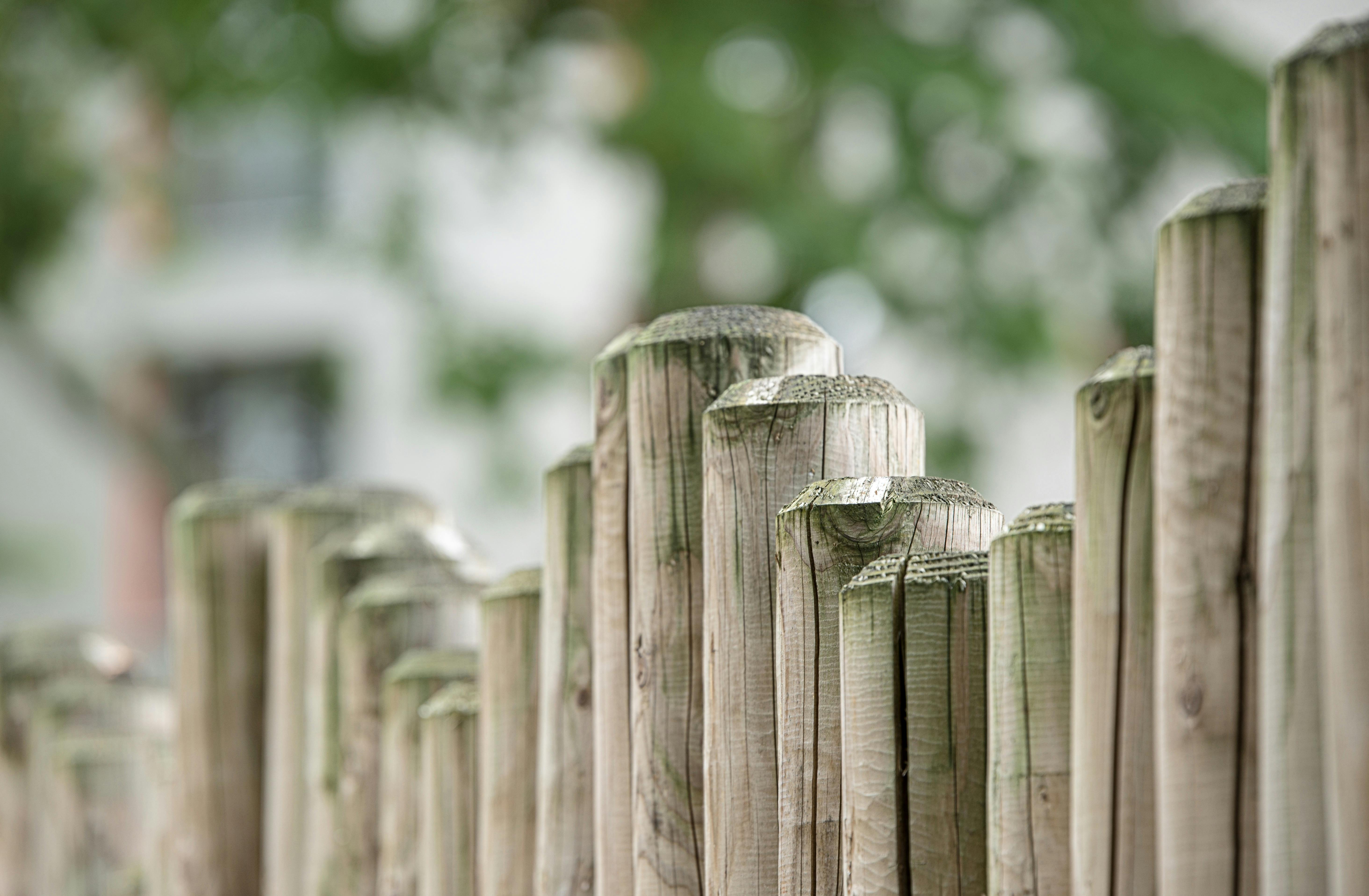 Close-up of aging wooden fence posts showing surface wear, cracking, and moisture exposure along a residential property line.