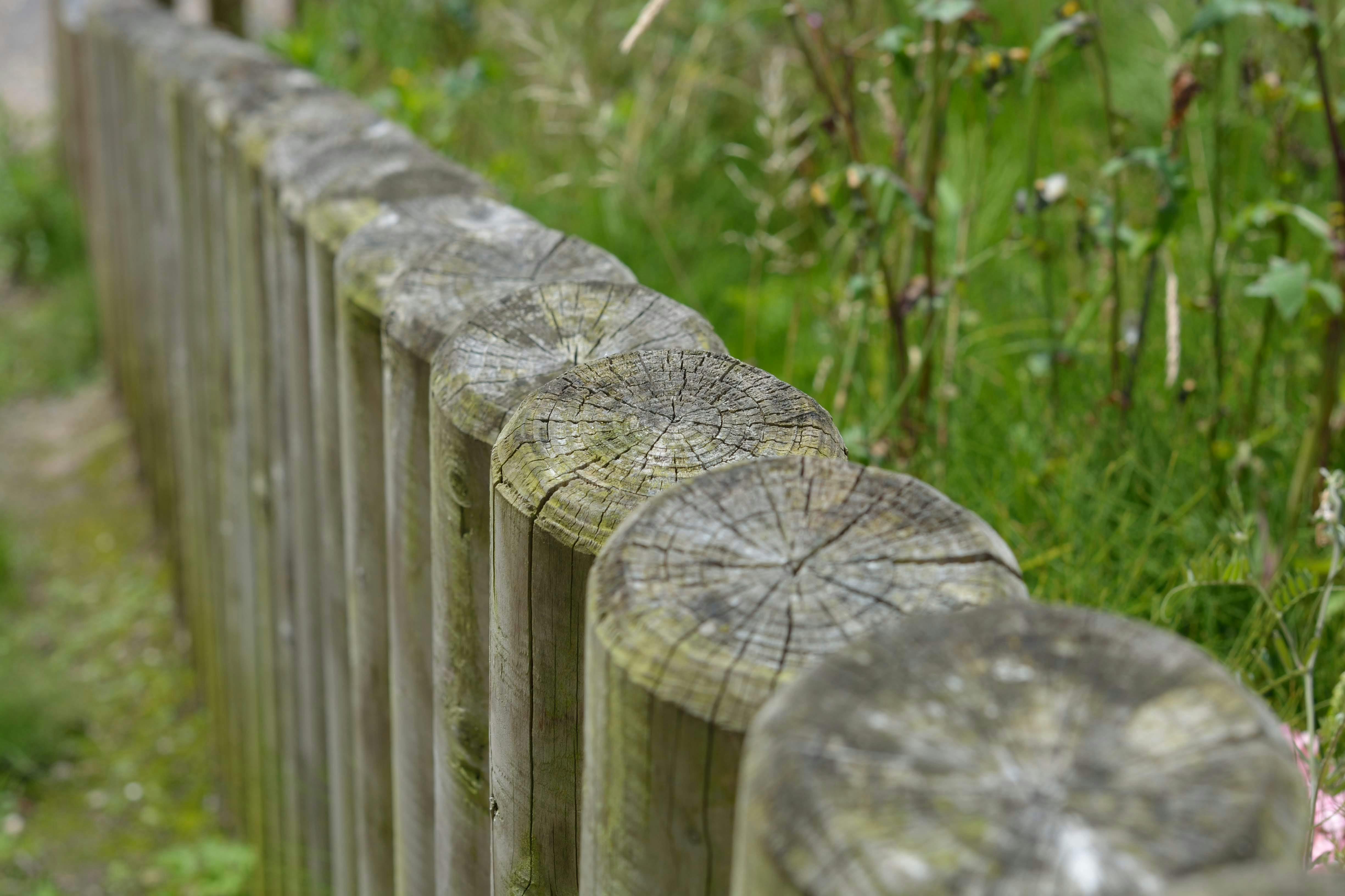 Top view of old wooden fence posts with cracked grain and visible aging along a backyard fence line.