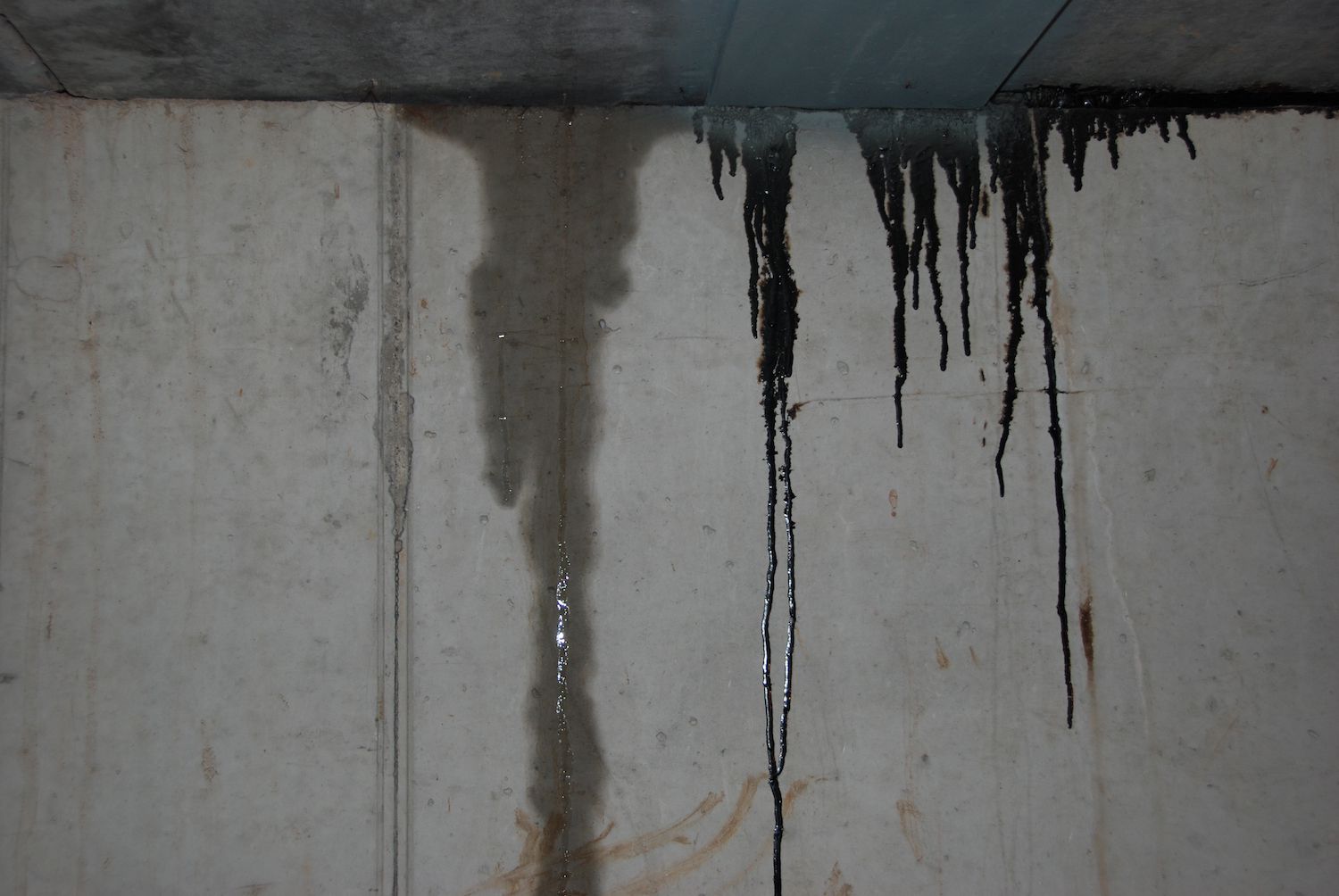 Concrete basement wall with dark water stains and active moisture seepage indicating a foundation leak.