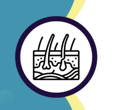 Icon representing advanced skin substitutes for wound care and tissue regeneration.
