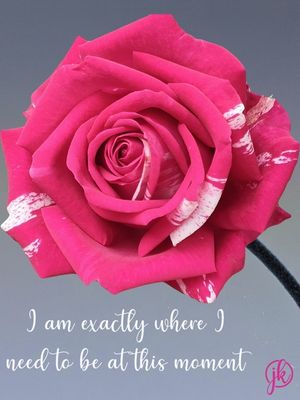 take time to smell the roses