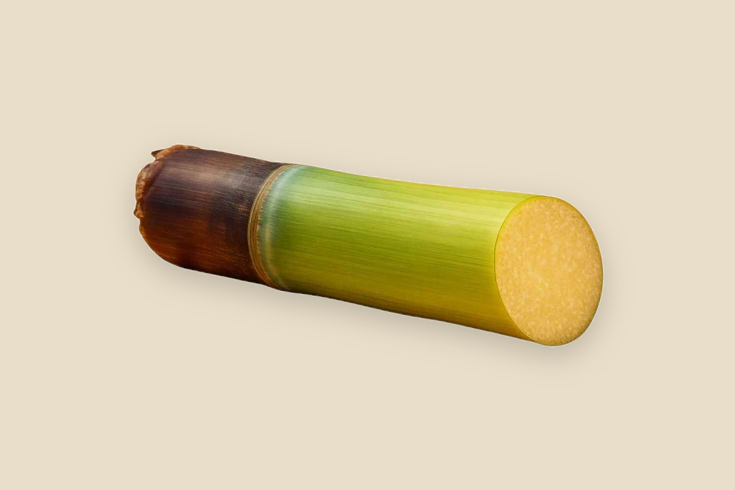 Fresh-cut Ugandan sugar cane, harvested at peak maturity and export-ready for airfreight