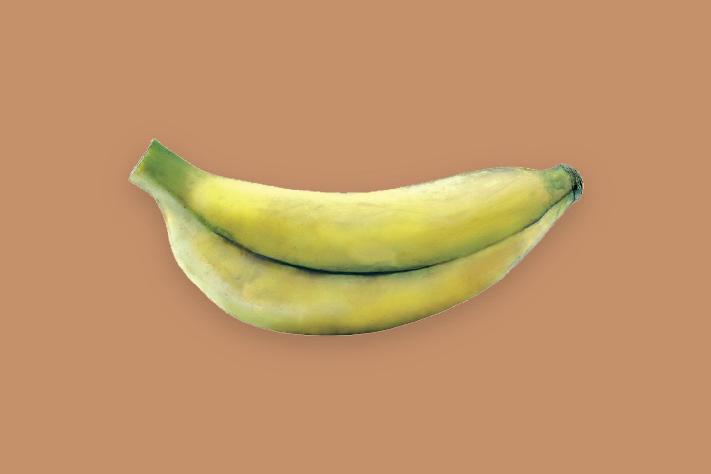 Fresh Ugandan apple bananas, naturally sweet Sukali Ndizi cultivar export-certified for airfreight
