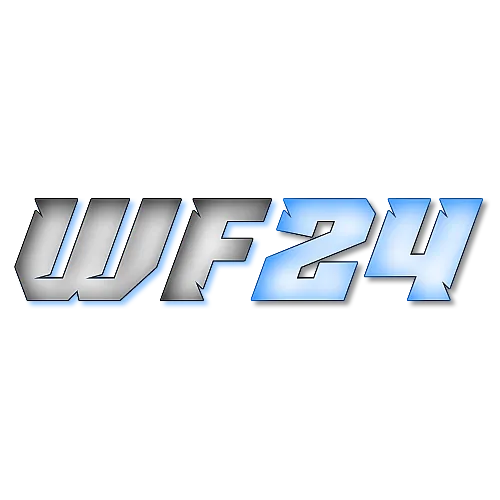 WebFast24 Custom Brand Logo