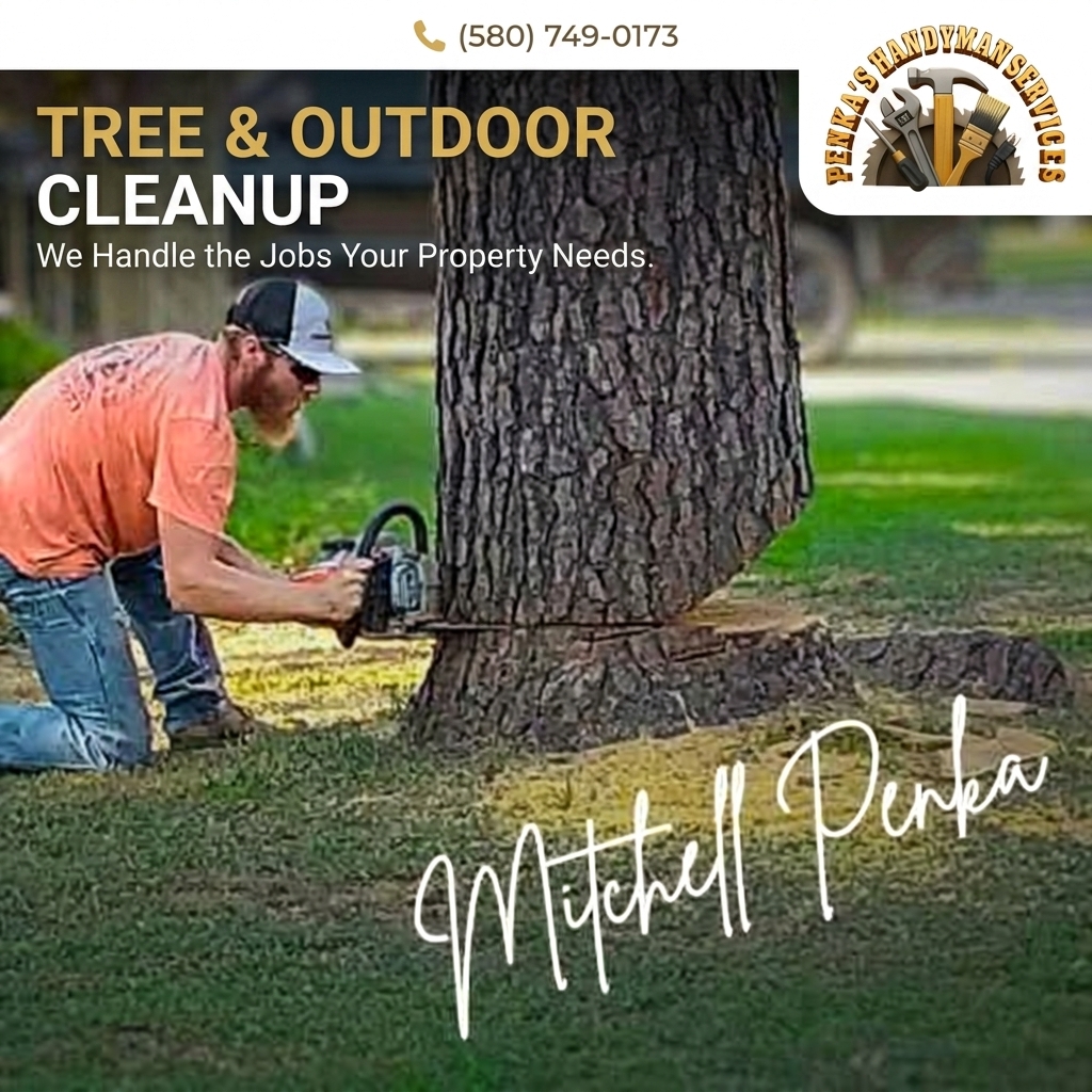 Homeowners Guide Tree Outdoor Cleanup