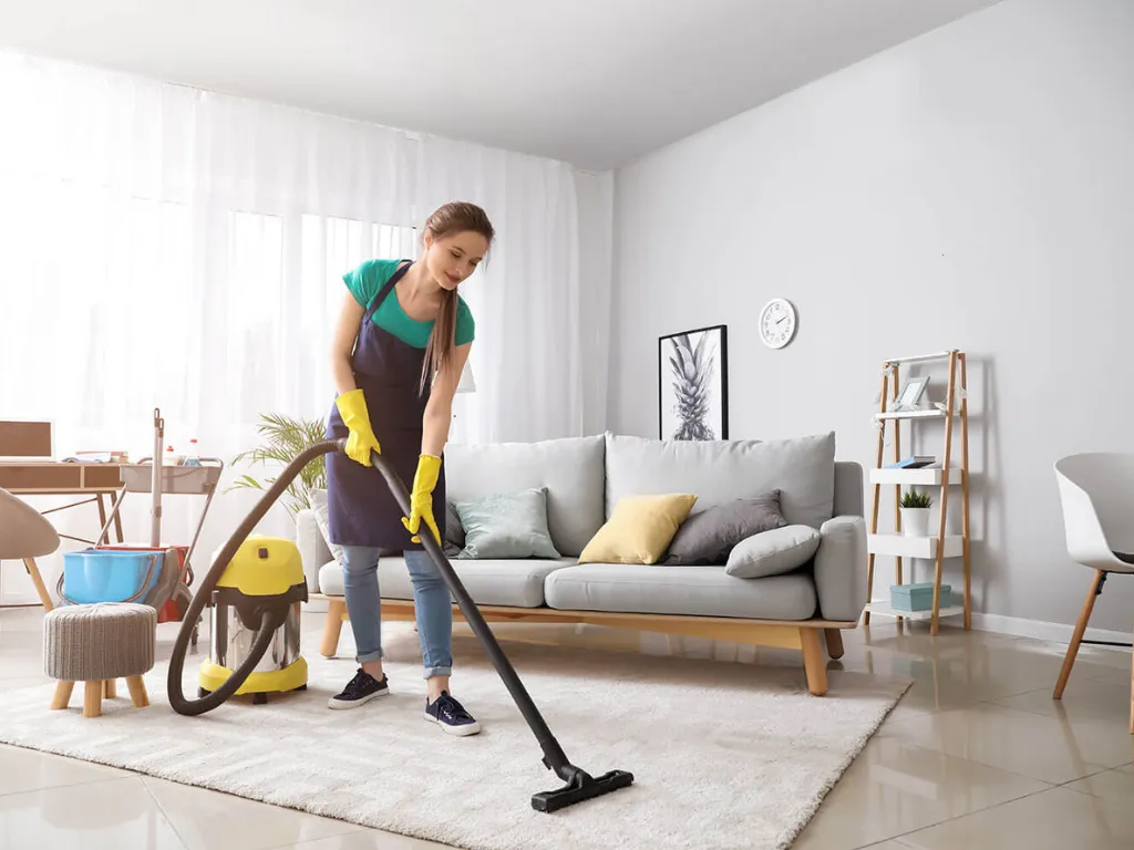 Standard Cleaning