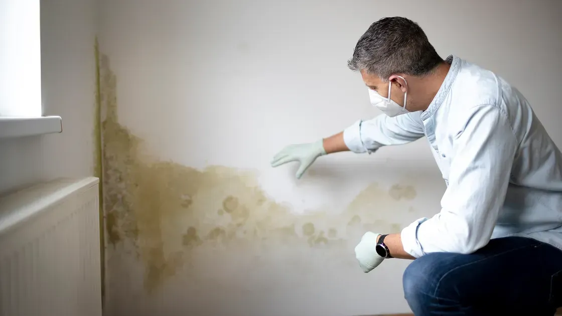 Mold Inspection on home